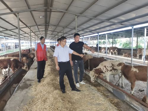 梁山農商銀行 擦亮綠色金融品牌 夯實高質量發展根基