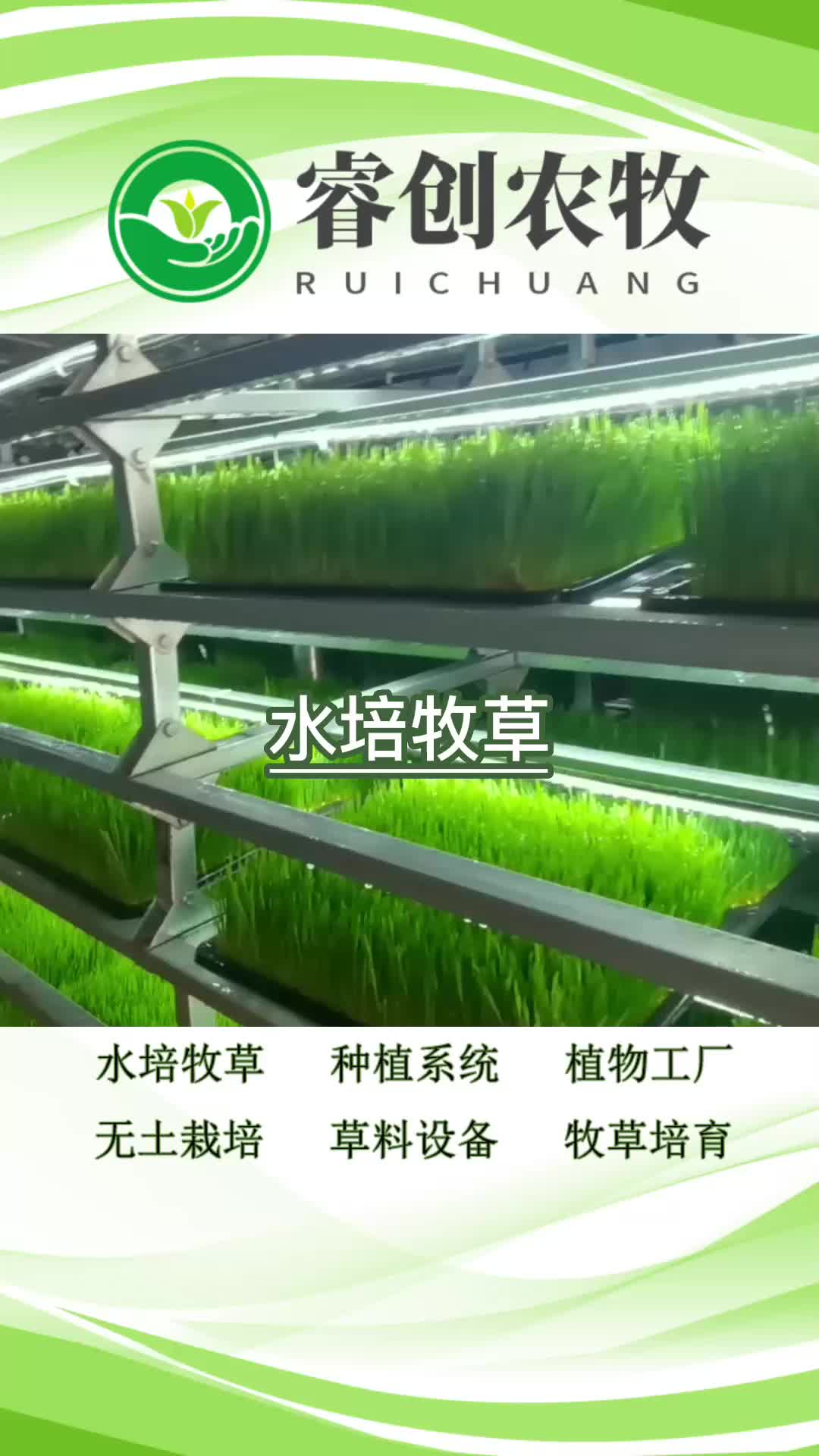 水培牧草工廠,畜牧現(xiàn)代水培牧草設備工廠帶你了解設備產(chǎn)品;.