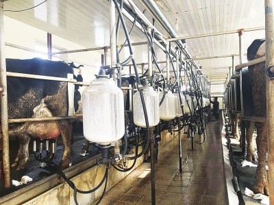 畜牧機械生產企業將迎來發展黃金期