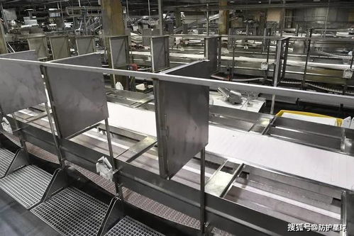 進口食品安全嗎 疫情為何在美國肉類加工廠中肆虐