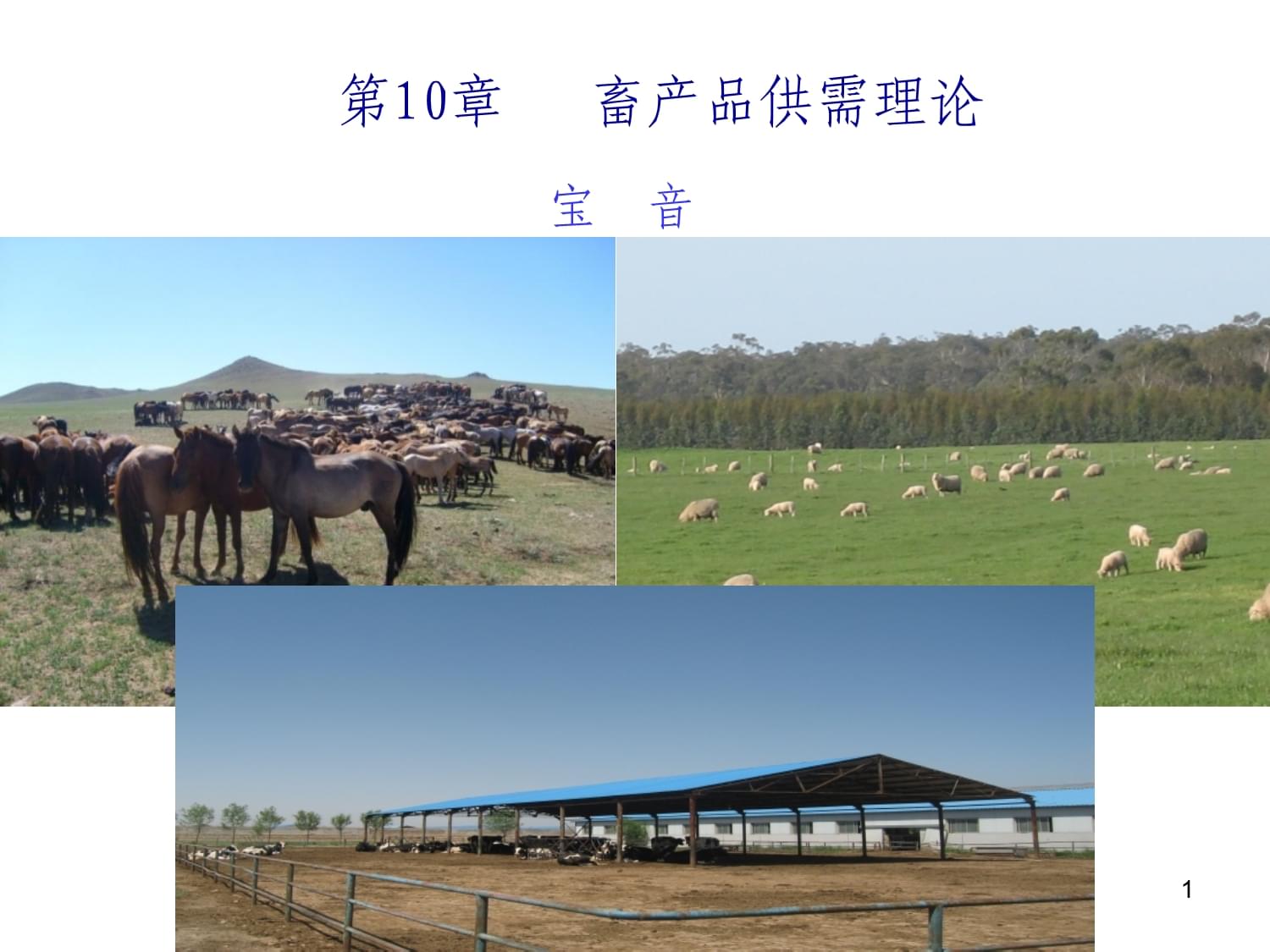 畜牧業(yè)經(jīng)濟(jì)管理課件
