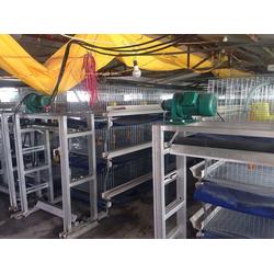 育雛籠具 宏佳畜牧 濟(jì)南育雛籠具