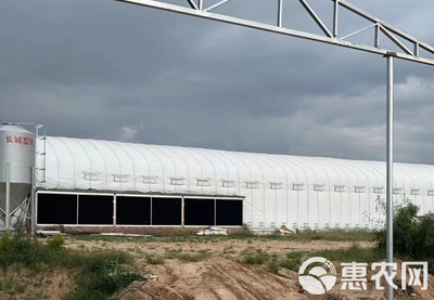 專營大棚管材大棚骨架大棚材料養(yǎng)殖大棚種植大棚連棟棚