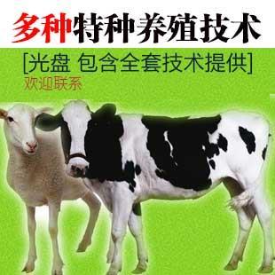 【雞的養(yǎng)殖技術(shù)】價(jià)格,廠家,畜牧業(yè)副產(chǎn)品-搜了網(wǎng)