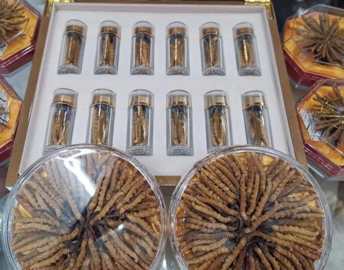 果洛州生態(tài)畜牧業(yè)產(chǎn)品全面進(jìn)入上海市場啟動(dòng)會(huì)