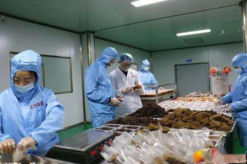 投產(chǎn)不足3個(gè)月,產(chǎn)值突破600萬 這家公司是