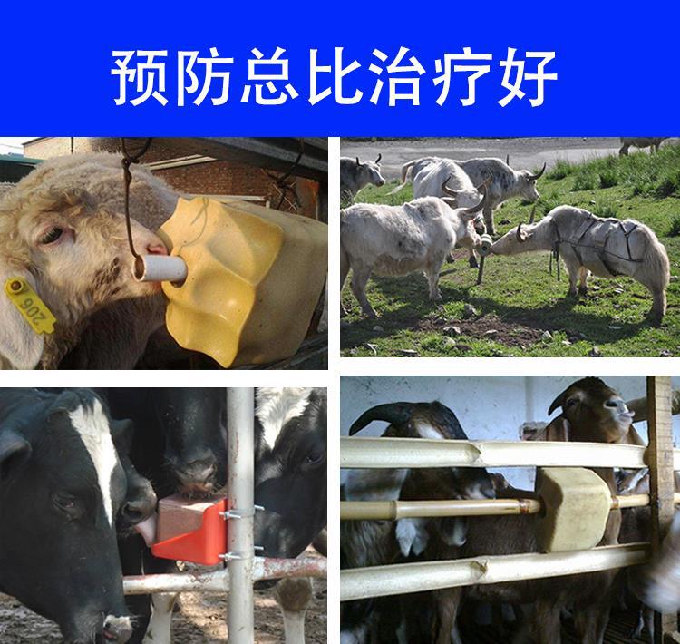 牛舔鹽磚驅蟲舔磚羊山羊懷孕微量元素5KG畜牧羊吃的驢用養殖添磚
