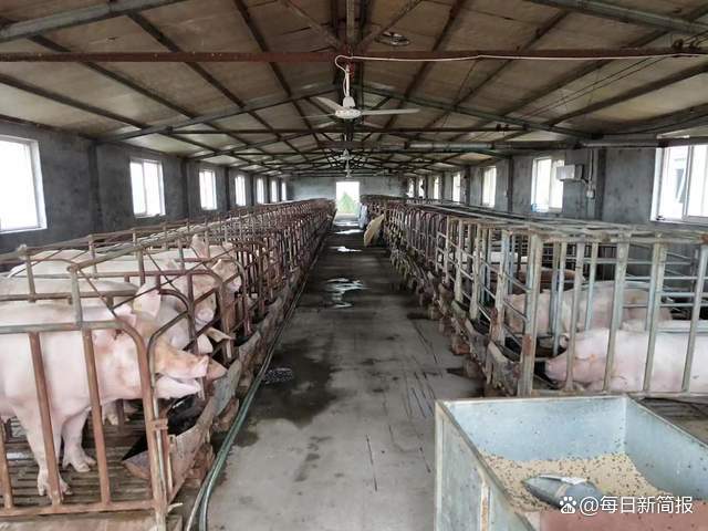 【建設現(xiàn)代化養(yǎng)殖小區(qū)】 白羽雞是我省優(yōu)質(zhì)畜牧產(chǎn)品之一,年出欄量約16