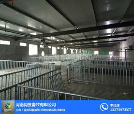 圖 鄭州養豬料線廠家定制 鄭州養豬料線