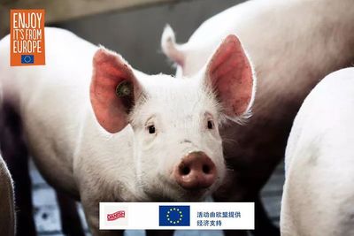 豬肉,中國傳統文化中的至臻佳肴