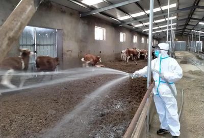 卓資縣農(nóng)牧和科技局開展2023年“大清洗、大消毒”工作