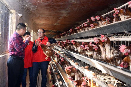 2019年我國(guó)340個(gè)左右貧困縣脫貧摘帽