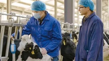 科技公司搶占畜牧業(yè),人工智能到底會(huì)不會(huì)讓農(nóng)民下崗?