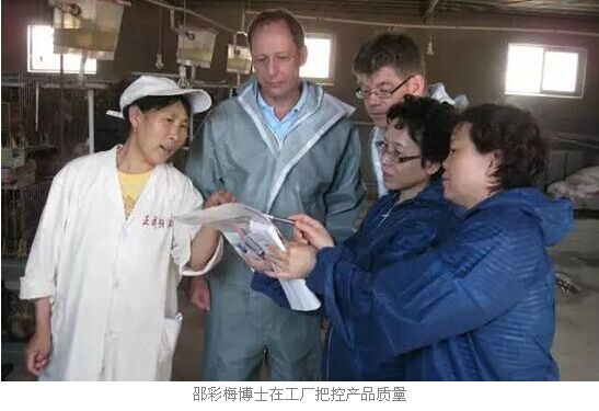 禾豐牧業(yè),21年耕耘鍛造中國500強企業(yè)-畜牧人才網(wǎng)